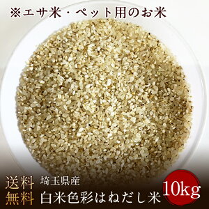 yGTāEybgp̂āzʌYĐFʂ͂˂  10kg(@AkC@@B@l@j