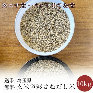 yGTāEybgp̂āzʌYĐFʂ͂˂  10kg(@AkC@@B@l@j