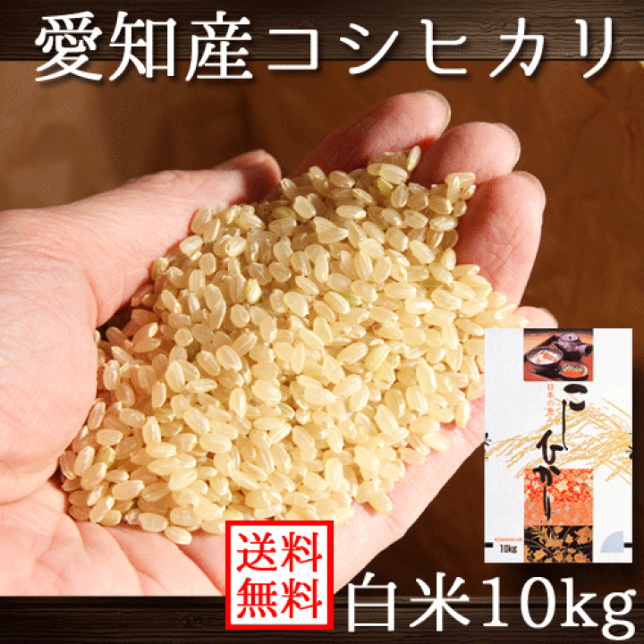 楽天市場】愛知県産 コシヒカリ 令和7年産 白米 10kg 送料無料 （一部