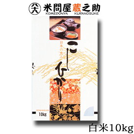 愛知県産 コシヒカリ 令和5年産 白米 10kg 送料無料 （一部地域除く）