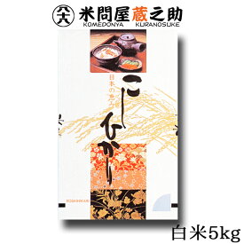 愛知県産 コシヒカリ 令和5年産 白米 5kg 送料無料 （一部地域除く）
