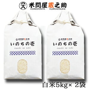 V ̂̈ ߘa7NY  10kg  (ꕔn) j  Ε