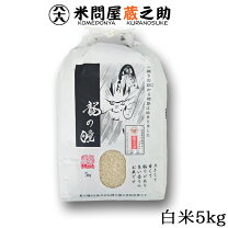 楽天市場】いのちの壱 10kgの通販