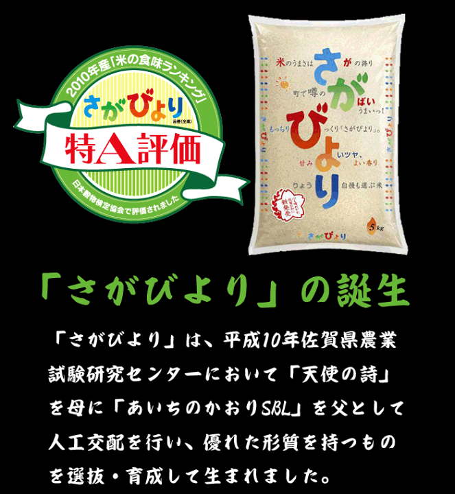 834円 最大94%オフ! 佐賀県産 さがびより 白米5kg 送料無料 834円 最大94%オフ! 佐賀県産 さがびより 白米5kg 送料無料