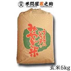 ササニシキ 宮城県産 玄米 5kg 特別栽培米 令和5年産 送料無料
