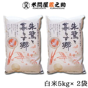 ƕ炷 ʍ͔| V nY Ђ  10kg ߘa7NY 