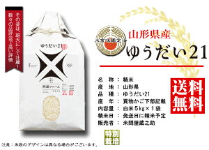 �䂤����21 �ߘa7�N�Y ���� 5kg �������� (�ꕔ�n�������) ���j�� ������ ���Ε�