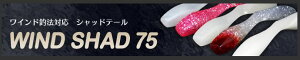 y10/10|Cg10{zy[։zIX^bNfUCyChޖ@ΉVbhe[zChVbh 75