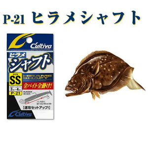 y[։zJeBo@qVtg P-21