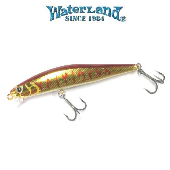 楽天市場】【6/1ポイント5倍】【メール便可】ウォーターランド  