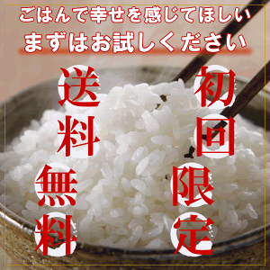 特別栽培米(減農薬・減化学肥料)新潟県産コシヒカリ5kg