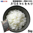 新米 令和6年産 特別栽培米(減農薬・減化学肥料)一等米 新潟県魚沼産コシヒカリ5kg
