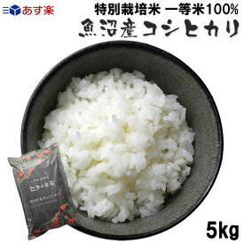 新米 令和5年産 特別栽培米(減農薬・減化学肥料)一等米 新潟県魚沼産コシヒカリ5kg