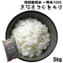 新米 特別栽培米(減農薬・減化学肥料)一等米100% 新潟県魚沼産コシヒカリ5kg