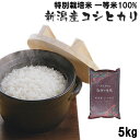 新米 令和2年産 特別栽培米(減農薬・減化学肥料) 一等米100% 新潟県産コシヒカリ5kg