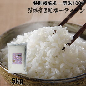 新米 令和5年産 特別栽培米(減農薬・減化学肥料) 一等米100% 茨城県筑西産ミルキークイーン　5kg