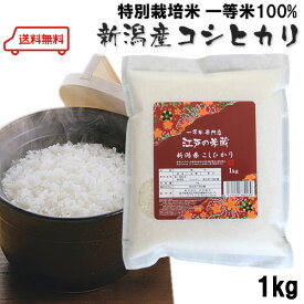 楽天市場 訳あり 食品 1000円 送料無料 米 雑穀 食品 の通販