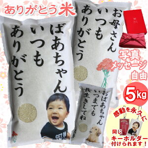 bZ[WEʐ^vgOKIy̓v[gz肪Ƃ5kg(kCEBE͕ʓr600~)ʐ^ MtgƑŐHׂ5kgTCY10P03Dec16