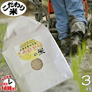 yāẑƂ̕āiRVqJjߘa7NYiɌLsYj3kgyyΉzāEāE3E7