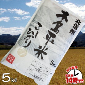 『木島平米』長野コシヒカリ5kg　令和4年度あす楽玄米・白米・3分搗き・7分搗き