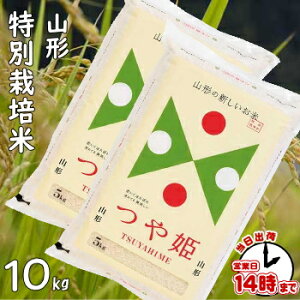 R`YwPx10LyyzāEāE3E7