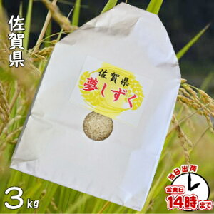 ꌧY@ 3L3kgyyΉzāEāE3E7