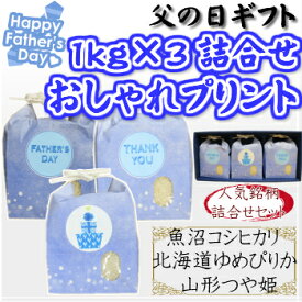 父の日ギフト1kg×3個詰合せおしゃれプリントセット(北海道・九州・沖縄は別途600円)