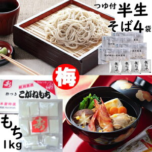 /Zbg@sNNZbgy~z MBYXȋ@ij4H{˂ij1kg(kCEBE͕ʓr600~)