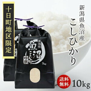 V V Y I v~A Ђ 5kg 10kg ߘa7NY  ō͔|ꂽ Ic Al  5kg×1 5kg×2 