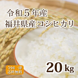 令和5年産 福井県産コシヒカリ 20kg 白米 コシヒカリ 単一原料米 安い 美味しい 5kg×4 送料無料