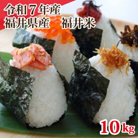 令和7年産 福井県産10割 福井米 ブレンド米 10kg 人気商品 お得米 白米 安い 10kg×1 送料無料