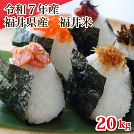 令和7年産 福井県産10割 福井米 ブレンド米 20kg 人気商品 お得米 白米 安い 10kg×2 送料無料