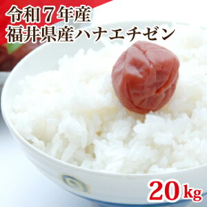 ߘa7NY 䌧YniG`[ 20kg    uh  5kg×4 PꌴĂł̉iI