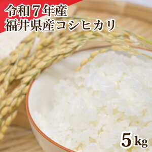 ߘa7NY 䌧YRVqJ 5kg  RVqJ Pꌴ   