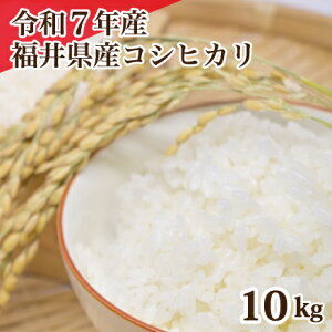 ߘa7NY 䌧YRVqJ 10kg  RVqJ Pꌴ   5kg×2 