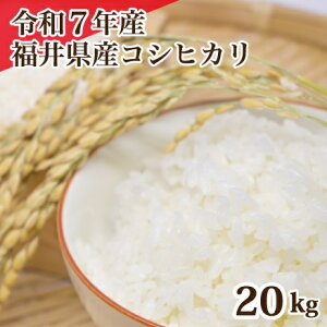 ߘa7NY 䌧YRVqJ 20kg  RVqJ Pꌴ   5kg×4 