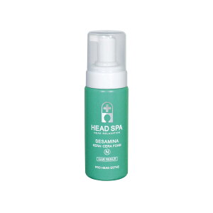 wbhXp A wAg[gg P`z GXeTvdl _[WPA wbhXp PZtH[ KERACERA FOAM 160mL m[}