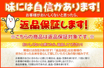 生鮮米無洗米お試しセット