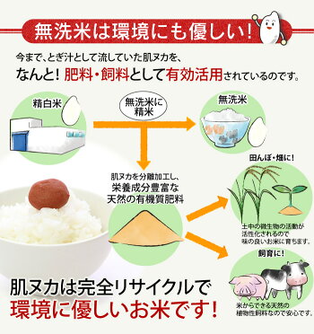 生鮮米無洗米お試しセット