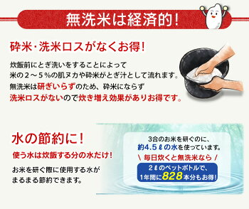生鮮米無洗米お試しセット