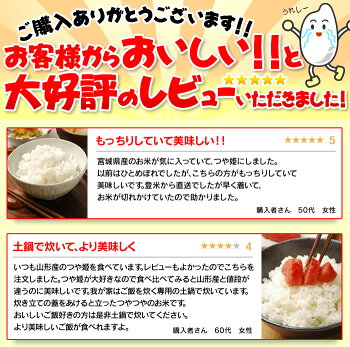 �ܾ븩���Ĥ�ɱ10kg(5kg&times;2������̵���������б�28ǯ�����Ƥ��Ƥ��ӡ�TD�ۡ�TRS�ۡڥ᡼����ľ���ʡ�