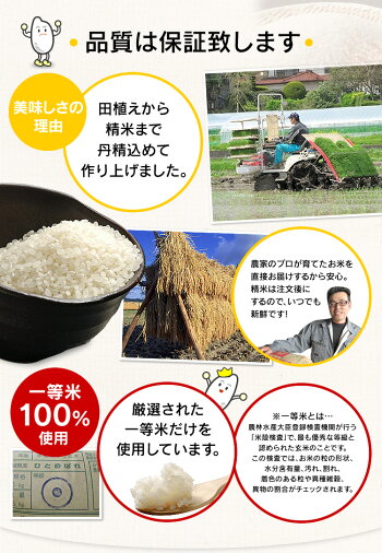 宮城県産ひとめぼれ10kg(5kg×2)送料無料29年産白米お米ご飯ヒトメボレみやぎ宮城【TD】【TRS】【メーカー直送品】米10キロ米ヒトメボレお米10キロお米10キロ送料無料こめ米10kg米10kg送料無料宮城29年