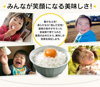 宮城県産ひとめぼれ10kg(5kg×2)送料無料29年産白米お米ご飯ヒトメボレみやぎ宮城【TD】【TRS】【メーカー直送品】米10キロ米ヒトメボレお米10キロお米10キロ送料無料こめ米10kg米10kg送料無料宮城29年