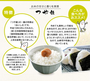 �ܾ븩���Ĥ�ɱ10kg(5kg&times;2������̵���������б�28ǯ�����Ƥ��Ƥ��ӡ�TD�ۡ�TRS�ۡڥ᡼����ľ���ʡ�