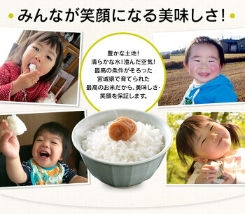 �ܾ븩���Ĥ�ɱ10kg(5kg&times;2������̵���������б�28ǯ�����Ƥ��Ƥ��ӡ�TD�ۡ�TRS�ۡڥ᡼����ľ���ʡ�