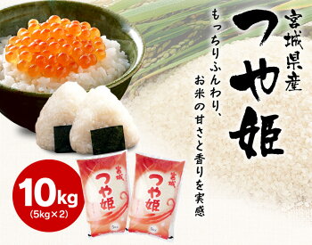 ��30ǯ�ٻ����ơ�ܾ븩���Ĥ�ɱ10kg(5kg&times;2������̵��30ǯ30ǯ�����Ƥ��Ƥ��ӡ�TD�ۡ�TRS�ۡڥ᡼����ľ���ʡ���10�����Ƥ���10��������10��������̵��������10kg��10kg����̵��