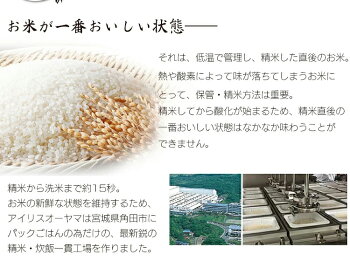 低温製法米のおいしいごはん秋田県産あきたこまち180g×40パックケース角型パック米パックごはんレトルトごはんご飯ごはんパック白米保存備蓄非常食アイリスオーヤマ【pack】