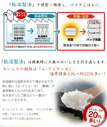 低温製法米のおいしいごはん秋田県産あきたこまち180g×40パックケース角型パック米パックごはんレトルトごはんご飯ごはんパック白米保存備蓄非常食アイリスオーヤマ【pack】