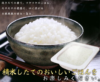 低温製法米のおいしいごはん秋田県産あきたこまち180g×40パックケース角型パック米パックごはんレトルトごはんご飯ごはんパック白米保存備蓄非常食アイリスオーヤマ【pack】