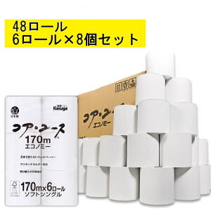 y48[Zbgz gCbgy[p[ 170m VO 48[ 6[×8pbN cȂ RAX RAE[X gCbgy[p[ zCg  gCbgy[p[RAX 6[